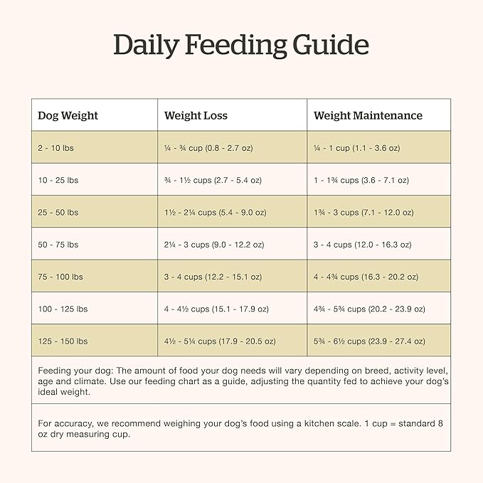 Now Fresh Grain-Free, Dry Dog Food, Real Meat and Fish, Turkey, Salmon and Duck Senior Recipe, All Breed Size, 3.5 lb Bag