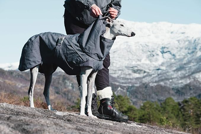 Hurtta Expedition Parka, Winter Dog Coat, BlackBerry, 14 in
