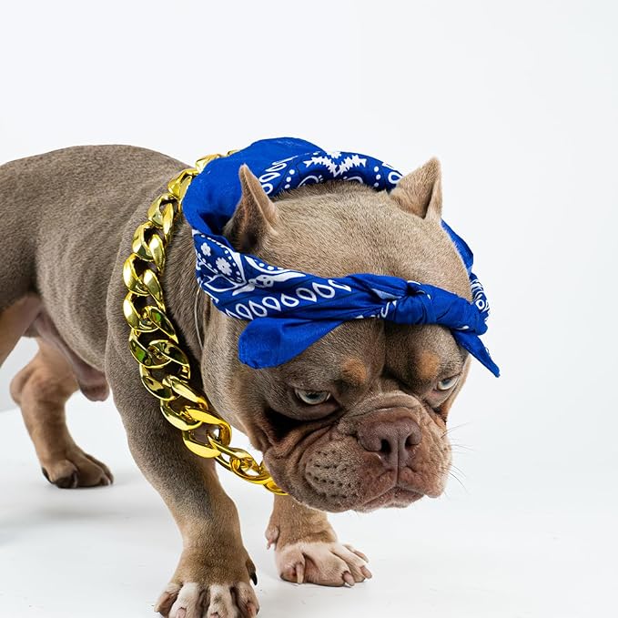 2Pack Dog Costume Set, Adjustable Gold Plated Dog Chain Collar and Headband Hip Hop Square Satin Head Scarf Head Cover Apparel Party Costume Cosplay Accessories for Medium Large Dogs(Blue)