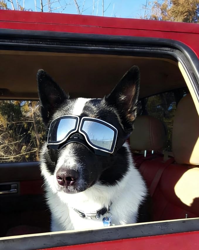 PETLESO Dog Goggles Medium Large Breed, UV400 Dog Sunglasses for Pet Outdoor Riding Driving Hiking, Windproof Snowproof Eyes Protection, Breathable Frame Adjustable Strap, Black