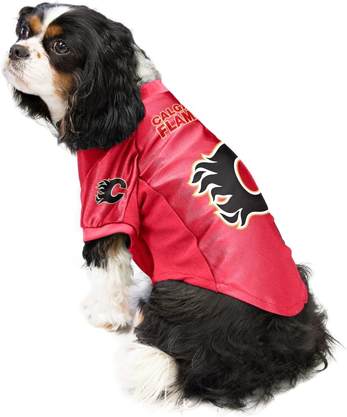 Littlearth NHL Montreal Canadiens Stretch Pet Jersey