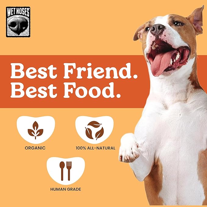 Wet Noses Organic Crunchy Dog Treats Grain Free – All-Natural, Human-Grade, Non-GMO, Healthy Training & Delicious Snacks for Dogs, for All Dog Sizes & Breeds – Pumpkin & Quinoa, 14oz (2 Pack)
