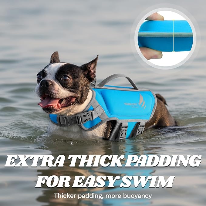 VIVAGLORY High Buoyancy Dog Life Vest, Swimming Vest with Handle, Dog Life Jacket for Swimming & Boating, Buoyancy for Puppy Doggy, M, Blue