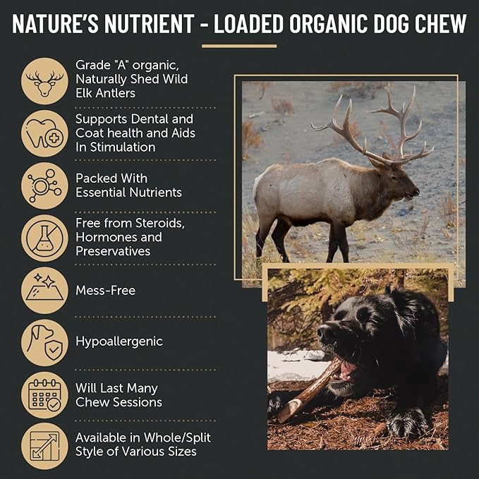 The Antler Box Premium Elk Antler Dog Chews (1 Pound Box) (Medium (4 Pieces) Split Only)