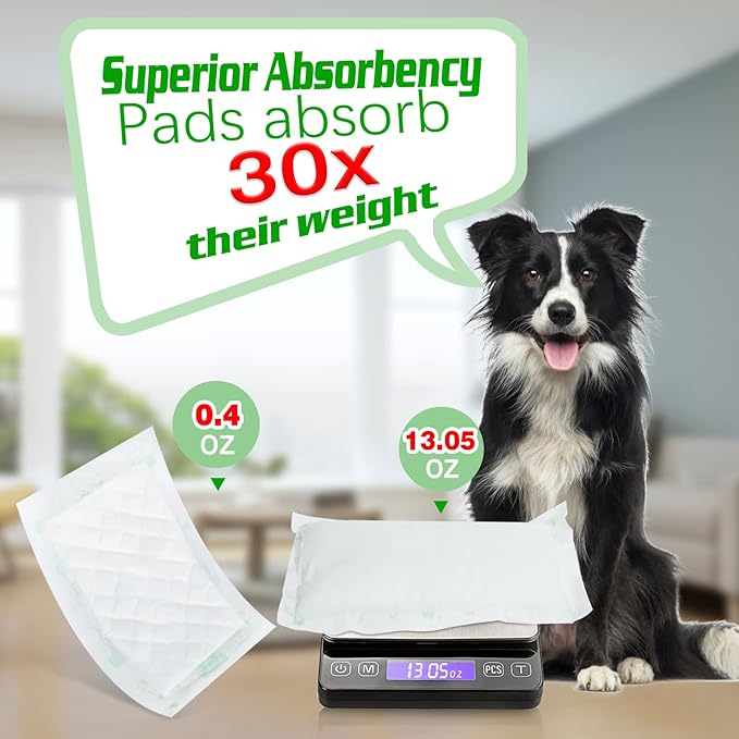 Dog Diaper Liners 100ct Super Soft and Absorbent Dog Diaper Booster Pads for Male Dog Belly Bands or Female Dog Diapers (Long, 100pcs)