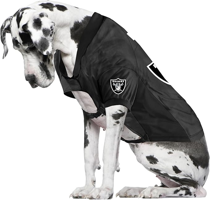 Littlearth NFL Las Vegas Raiders Stretch Pet Jersey, Team Color, Big Dog