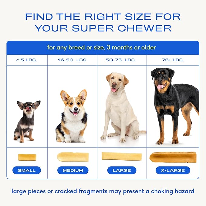 Native Pet Yak Cheese Himalayan Dog Chews - Long Lasting Dental Sticks for Large Breeds – 100% All Natural Himalayan Yak Chews for Large Dogs – Cheese Bone for Aggressive Chewers - 10 Per Pack