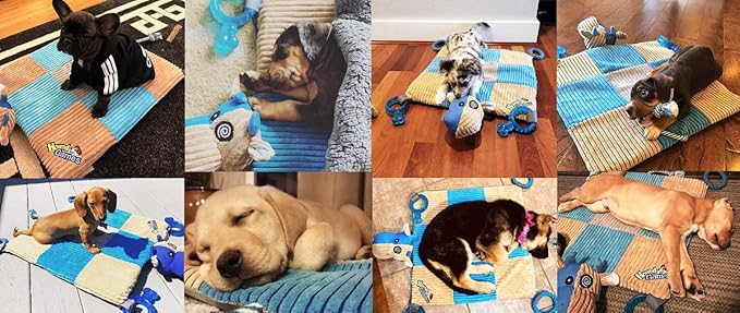 Puppy Teething Mat, Dog Play Mat, Playmat with Teething Toys, Dog Playpen Accessories, Teething Rings, Stuff for Puppies, Playpen, Essentials - 20 X 20