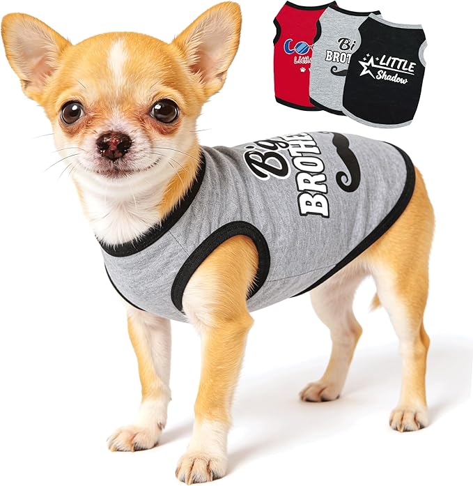 3 Pieces Dog Shirts Spring Dog Clothes for Small Dogs Girl Boy Cute Summer Chihuahua Clothes Soft Puppy Pet T Shirts XXS~M (Red,Black,Grey, Small)