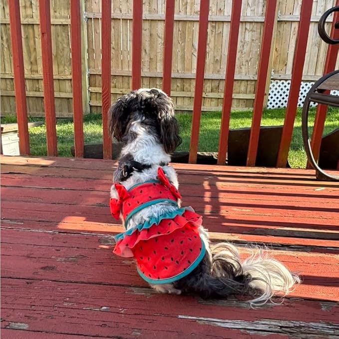Funny Dog Swimwear Bikini Summer Dog Clothes Beach Swimsuit Puppy Bathing Suit Puppy Vest Cooling Pet Shirt for Small Dogs, Cat Apparel (Watermelon, Large)