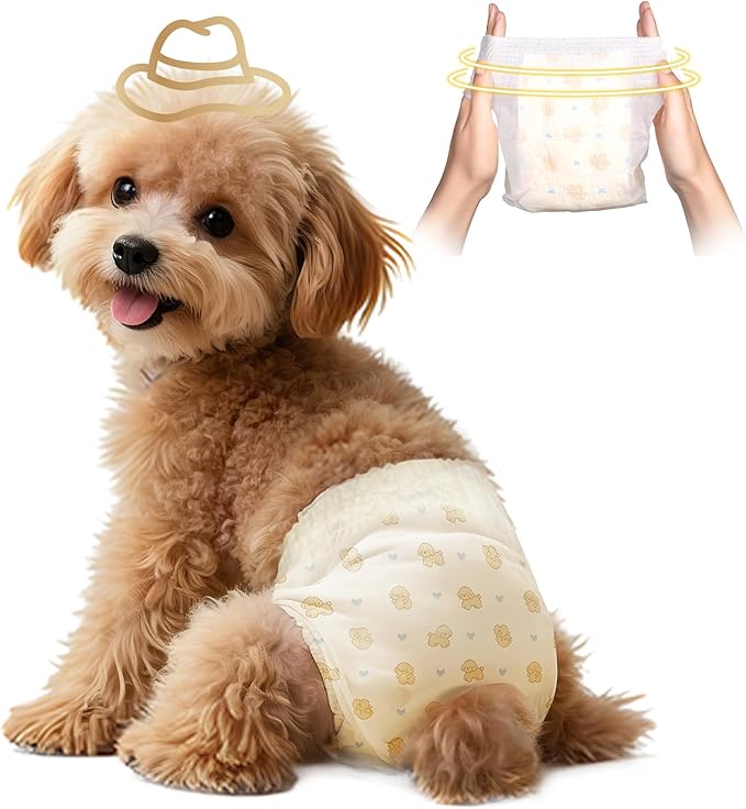 Disposable Dog Diapers Female, 360°Leak-Proof Full Wrap Stretchy Waist, Highly Absorbent Diapers for Female Dog in Heat, Dog Diapers for Period (M 10PCS)
