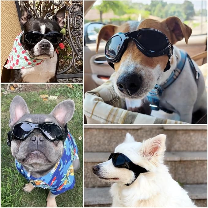 NAMSAN Dog Goggles for Small to Medium Dogs, Dog Sunglasses UV Protection for Medium Dogs Outdoor Cycling Driving, Small Puppy Glasses Dog Eye Protection, Anti-Fog Windproof, Adjustable, Black
