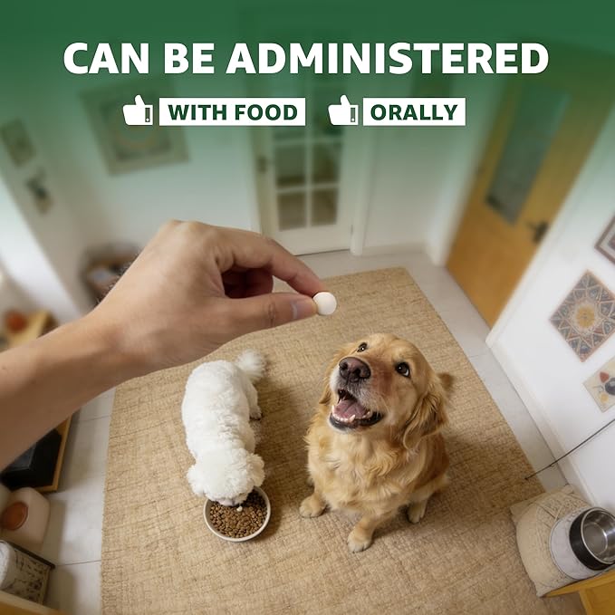 Dewormer for Dogs, Digestive Cleanser Treatment, Broad Spectrum for All Womer, Hookworms, Lung Worms, Pin Worms, Round Worms