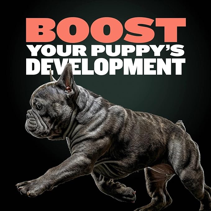 Bully Max Puppy Training Treats - Soft Chews Dog Food Supplements & Vitamins for Brain, Skin & Coat Health - Glucosamine & Chondroitin for Joint Support – Multivitamin Food Topper for Puppies - 3 Bags