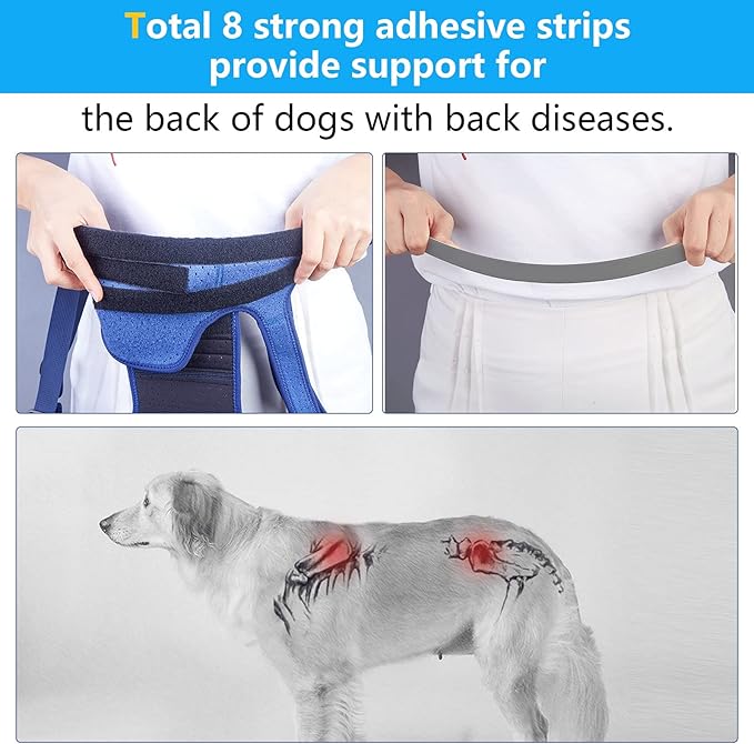 Coodeo Dog Back Brace for Dogs Arthritis, Pet Back Bracer for IVDD, Back Protector Helps Pain Relief, Surgical Recovery and Rehabilitation, Dogs Back Disease Prevention. (Pink,Large)