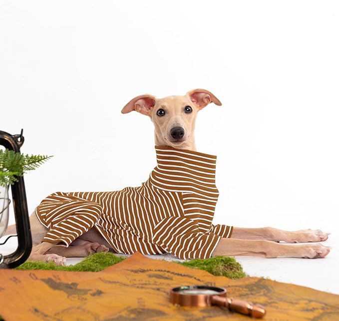 Dog Sweaters for Small Dogs Girls Boys, Striped Pet Sweaters for Fall Winter Dog Clothes, Turtleneck Pullover Knitwear for Small Medium Large Dogs