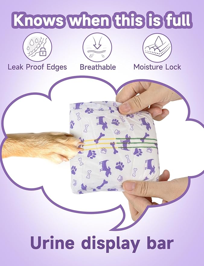 MICOOYO Disposable Dog Diapers Female, Doggie Diapers for Dogs Female, Super Absorbent Pet Diaper with Foam Tail Hole for Heat, Comfortable Puppy Diaper (Medium, 40Count)