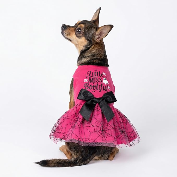 Fitwarm Little Miss Bootiful Halloween Dog Dress, Funny Costumes for Small Dogs Girl, Pet Outfit, Black, Hot Pink, XS