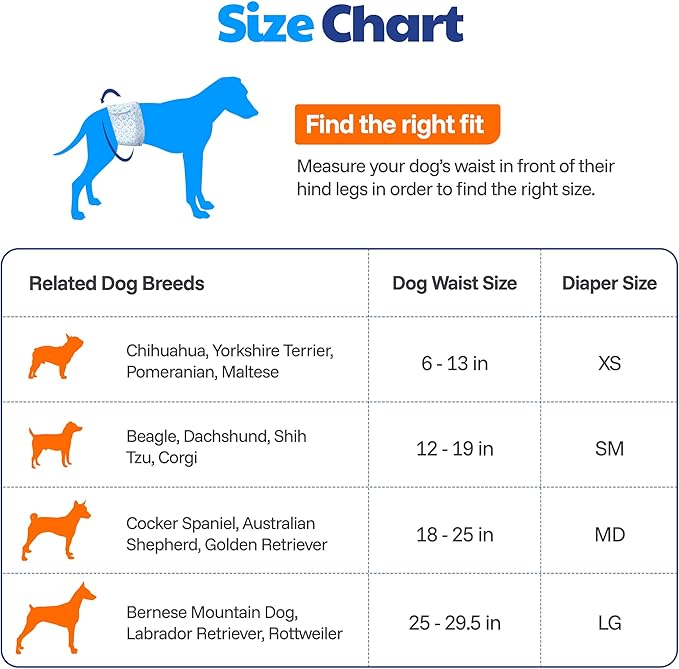 American Kennel Club Male Dog Wrap, Disposable Diapers with Wetness Indicator, Large, 50 Count (Pack of 6)