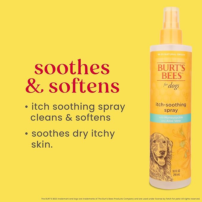 Burt's Bees for Pets Anti Itch Dog Spray with Honeysuckle and Honey, Waterless Grooming Mist for Dry Flaky Skin, Dog Itch Relief Between Baths, Natural Origin Coat Care for Dogs, 10 Fl Oz