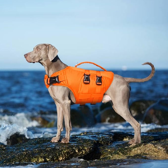 Kuoser Dog Life Jacket, Large Dog Water Vest for Swimming Boating, Reflective Doggie Swimming Vest Pet Life Preserver with Rescue Handle, Orange L