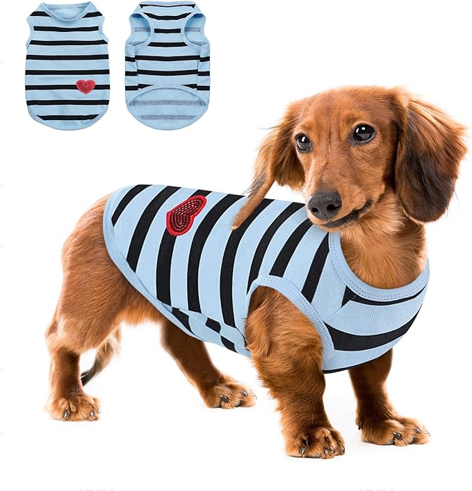 Queenmore Large Dog Shirt,Soft Breathable Dog Shirt for Dogs Cats Boy Girl,Pet Clothes for All Season,Breathable Lightweight Pet Tshirt for Frenchie, Dachshund, Yorkie