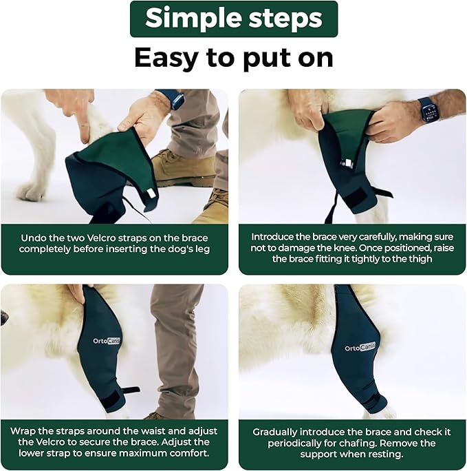 Ortocanis Dog Knee Brace for Hind Leg Support – Flexible Neoprene Knee Brace for Dogs with Joint Instability, Torn ACL, Limping or Osteoarthritis – Comfortable Support for Recovery (XXL, Right Leg)