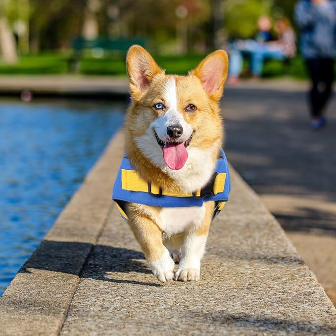 Queenmore Dog Life Jacket, Adjustable Dog Life Vest, Pet Lifesaver for Swimming, Shark Life Jacket with Rescue Handle, Rip-Stop Safety Vest for Small Medium Large Dogs