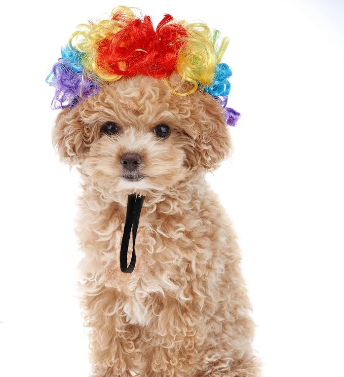 1pcs Funny Pets Wigs for Dog, Funny Rainbow Curly Dog Wig Adjustable Pet Wigs for Halloween Pet Cat Decoration Accessories for Halloween, Christmas, Parties Cosplay