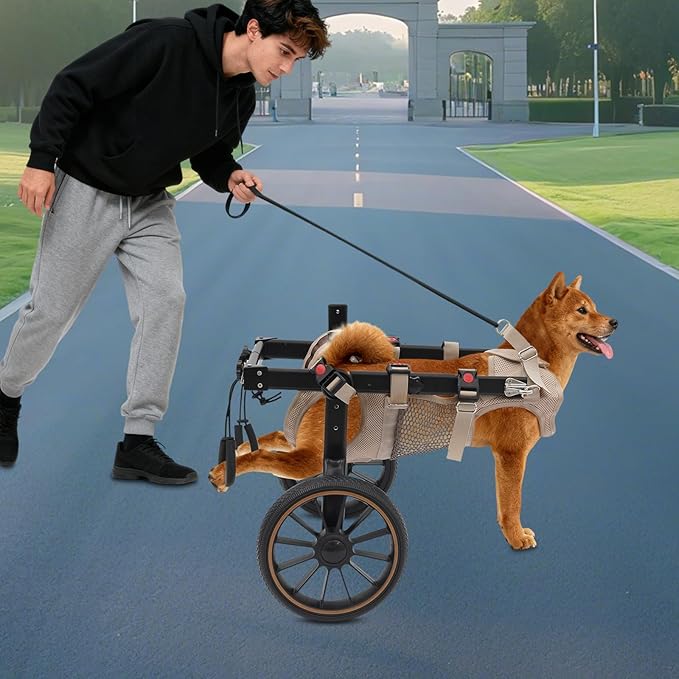 Pet Rehabilitation Walking Aid for Large Dogs, Adjustable 2-Wheel Dog Wheelchair for Back Legs with Breathable Mesh Harness for Senior Disabled Dogs Recovery Support