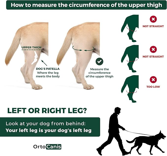 Ortocanis Dog Knee Brace for Hind Leg Support – Flexible Neoprene Knee Brace for Dogs with Joint Instability, Torn ACL, Limping or Osteoarthritis – Comfortable Support for Recovery (XXXS, Right Leg)