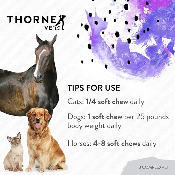 ThorneVet B ComplexVet and Canine Geriatric Basics Soft Chews Bundle