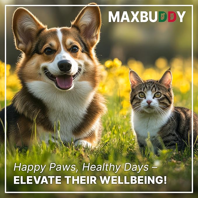 MaxBuddy Natural Intestinal Defense Herbal Cleanser for Cats and Dogs – Helps Remove Parasites & Toxins - Broad Spectrum Support for Gut Wellness & Digestive Issues Supplement Drops for Pets