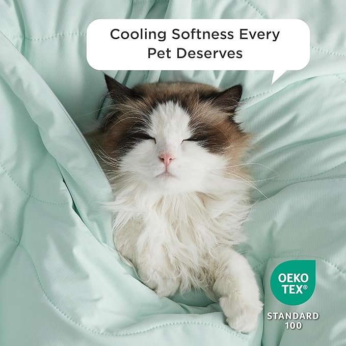 Bedsure Premium Cooling Blanket for Large Dog - Q-MAX>0.5, Breathable Summer Washable Cold Pet Mat, Soft Durable Self Cooling Dog Mat for Hot Weather, Turquoise Green, 40x50