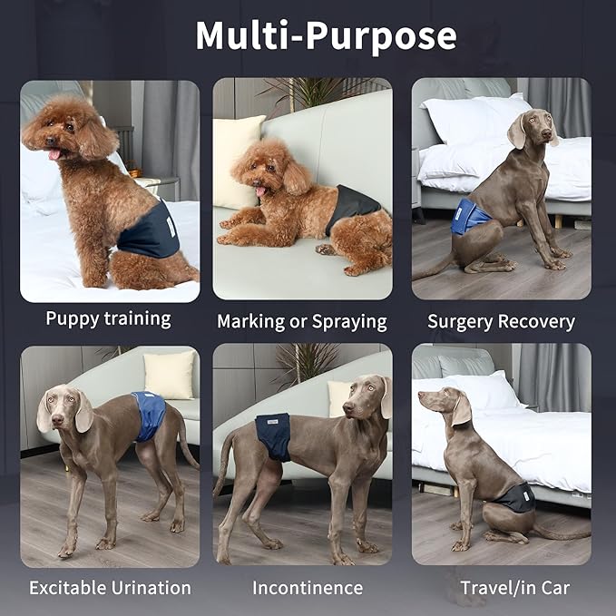 Reusable Dog Belly Bands for Male Dogs Diapers,5 Pack Premium Washable Dog Diapers Male Doggie Nappies Wrap,XXL
