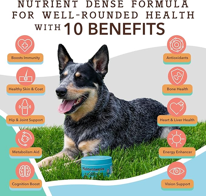 Natural Dog Company Dog Supplements for Seniors & Active Dogs - Multivitamin Chews & Hip & Joint Relief - Complete Nutritional Support for Joint Health, Vitamins for Dogs, Energy, & Vitality