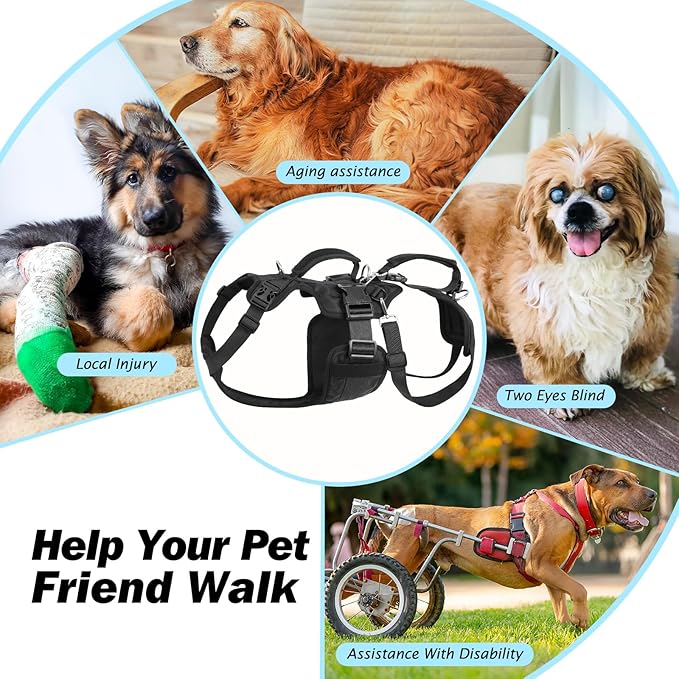 Dog Lift Harness for Large/Medium Dogs, Dog Support & Recovery Sling for Full-Body & Hind/Front Leg – Pee-Able Design – All-in-One Ideal Assistance for Senior, Disabled, Arthritic & ACL Canines (XXL)