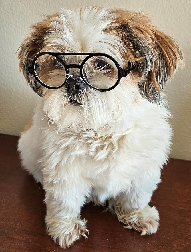 G002 Dog Pet Clear Lens Costume Glasses Small to Medium Breeds 12LBS~30LBS Prop Photoshoot Sunglasses (BR Round Black-Clear)