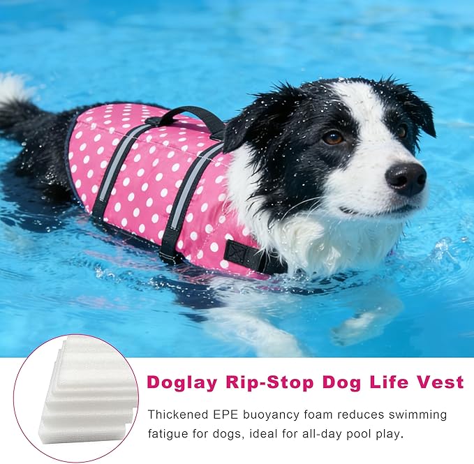 Doglay Dog Life Jacket, Dog Life Vest for Swimming Boating, Adjustable Puppy Life Jacket with Reflective Stripes, Superior Buoyancy Dog Swimming Vest for Small Medium and Large Dogs