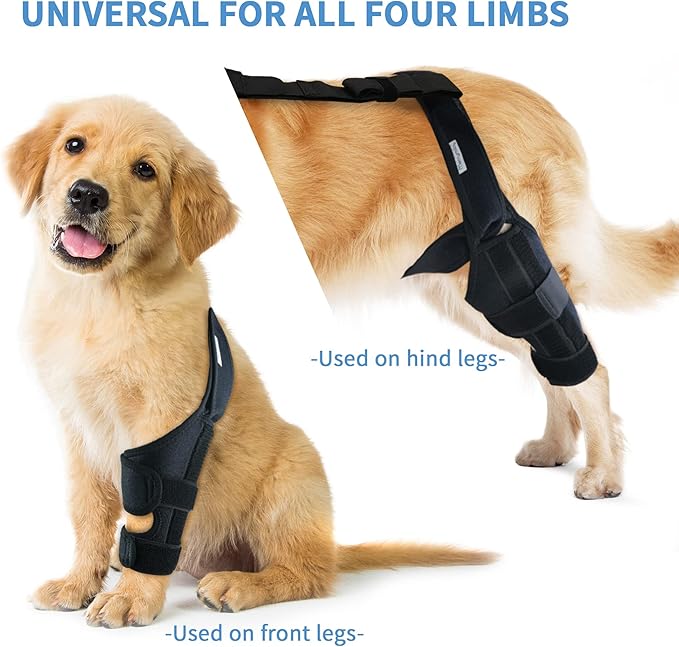 Dog Knee Brace for Hind & Rear Legs – Canine Leg Support – Adjustable, Durable, Black, Size M