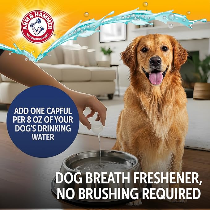 Arm & Hammer Complete Care Dental Water Additive for Dogs, Easy Portion Bottle, Dog Breath Freshener, Dog Mouth Wash or Dental Rinse, Simply Add to Pet Drinking Water for Fresher Breath, 16 FL OZ