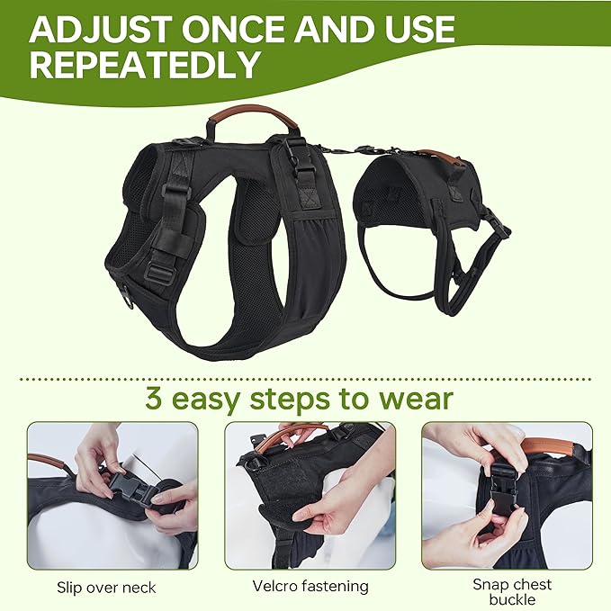 Dog Lift Harness for Male Dogs - 2-in-1 Full Body Support Aid & Sling, Comfortable & Chafe-Free for Post-Surgery Recovery and Elderly Dog Mobility, Hind Leg Assistance, Supports up to 40 Lbs (M)