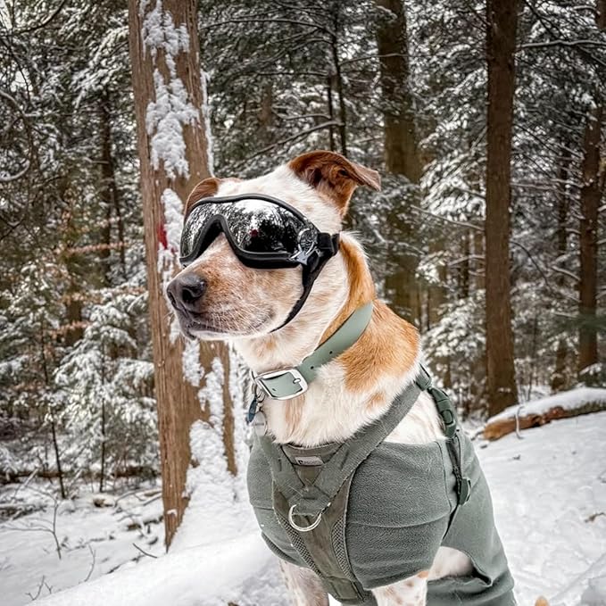 PETLESO Dog Goggles for Large Breeds, UV Protection Dog Sunglasses with Adjustable Straps, Windproof Pet Eyewear for Medium to Large Pets, Soft Frame, L