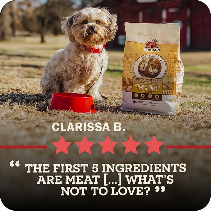 Redbarn Grain-Free Adult Dry Dog Food Kibble - Land Beef Recipe - Made in USA No Chicken Recipe with Functional Ingredients to Support Healthy Heart, Skin, Coat, Immunity & Digestion - 4lb