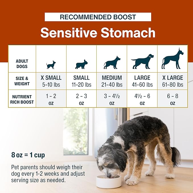 JustFoodForDogs JustFresh Boost Sensitive Stomach Dog Food Topper with Fiber for Gut Support & Digestive Health, Human-Grade Fresh Pet Meal Booster, 8 oz Pouches - 8 Pack
