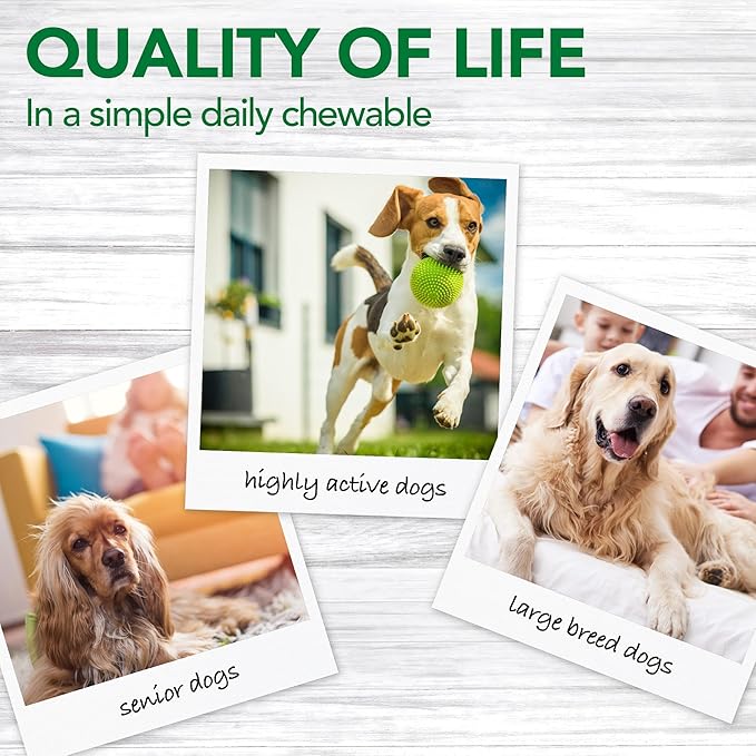 Vet’s Best Dog Pain Relief Supplement, Natural Aspirin Alternative for Hip & Joint Support, Arthritis & Aches Relief Tablets for Dogs, 150 Count