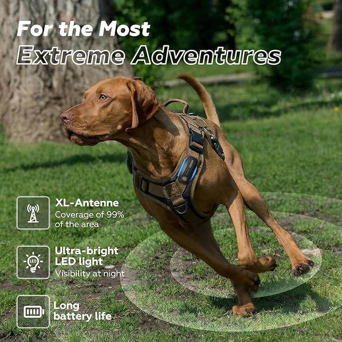 AI GPS Tracker for Dogs (30lbs+), Real Time Location and AI Vet Health Management, Electronic Fence, Waterproof, iOS and Android Universal (D5-Black)