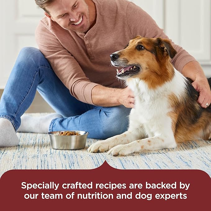 Nutrish Rachael Ray Adult Dry Dog Food Real Beef, Pea & Brown Rice Recipe, 5 lb. Bag