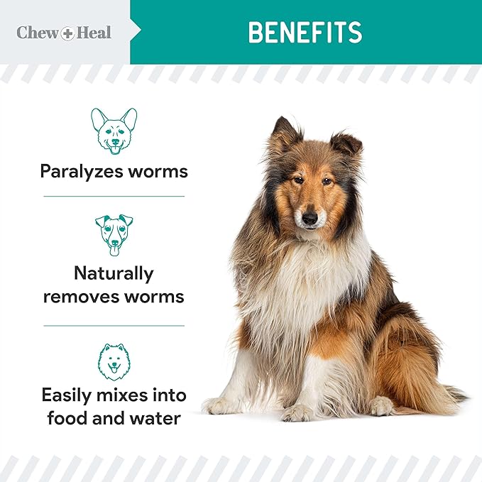 Dog and Cat Dewormer - 12 oz Wormer Liquid to Paralyze and Expel Roundworms - Kitten and Puppy Dewormer