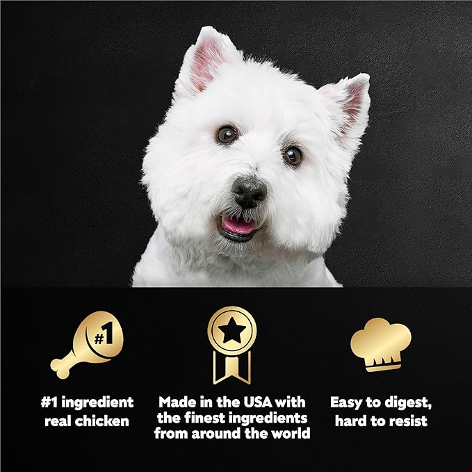 Cesar Home Delights Adult Wet Dog Food, Hearty Chicken & Noodle Dinner in Sauce, Wet Food for Dogs, 3.5 oz Tray, 24 Count